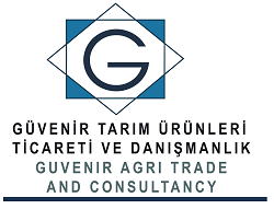 guvenirtrade logo